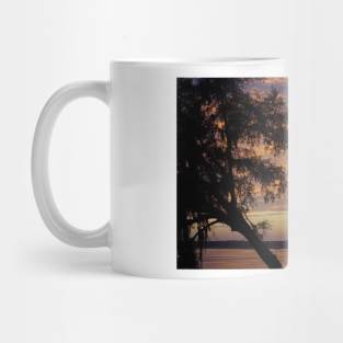 South Carolina Sunset Mug